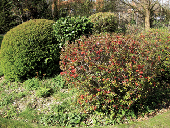 muddy boots landscaping picture Grounds and Garden Maintenance